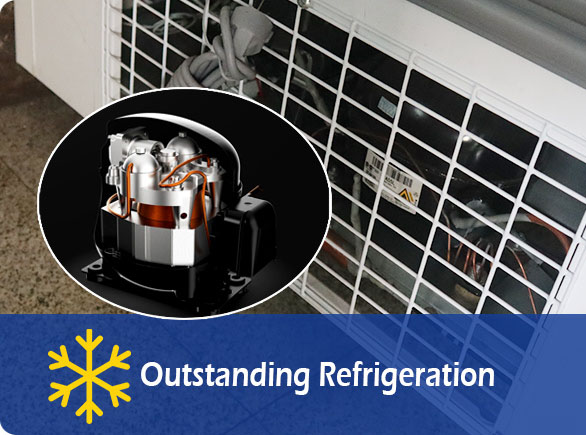 Outstanding Refrigeration | NW-WD2100 grocery store freezer